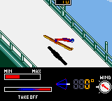Millennium Winter Sports (USA) In game screenshot